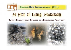 A Year of Living Sustainably
